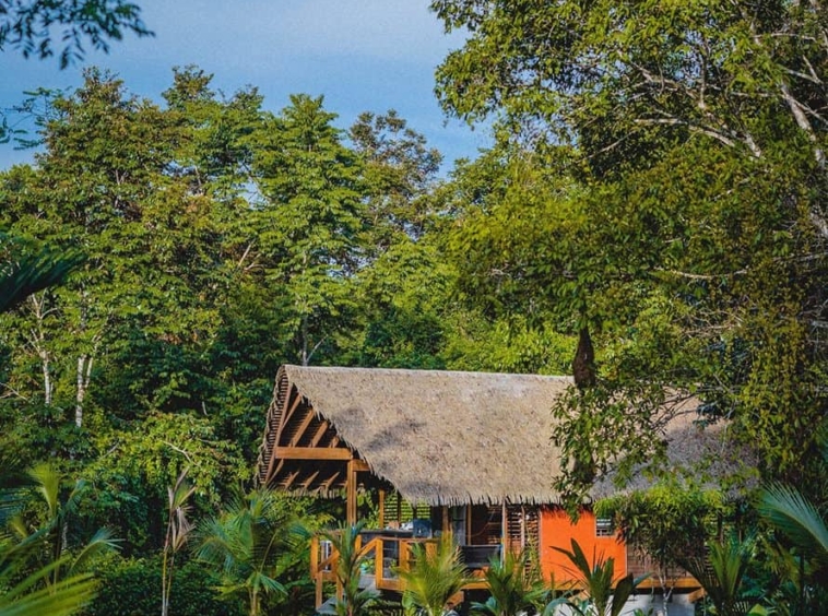 Jungle Villa – Puerto Viejo, Costa Rica – photo 12