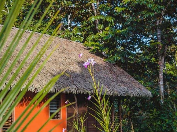 Jungle Villa – Puerto Viejo, Costa Rica – photo 8