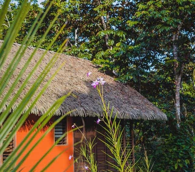 Jungle Villa – Puerto Viejo, Costa Rica – photo 8