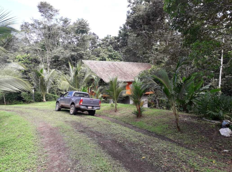 Jungle Villa – Puerto Viejo, Costa Rica – photo 4