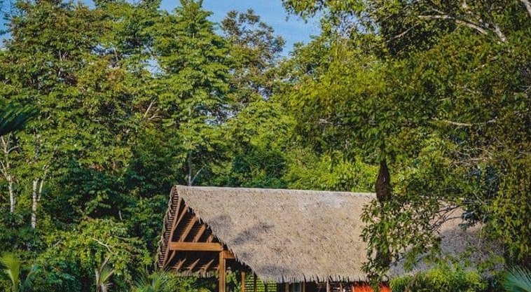 Jungle Villa – Puerto Viejo, Costa Rica – photo 1
